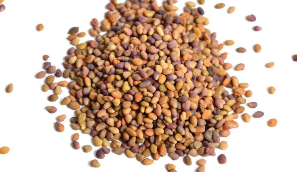 Clover seeds.png 7k pixel