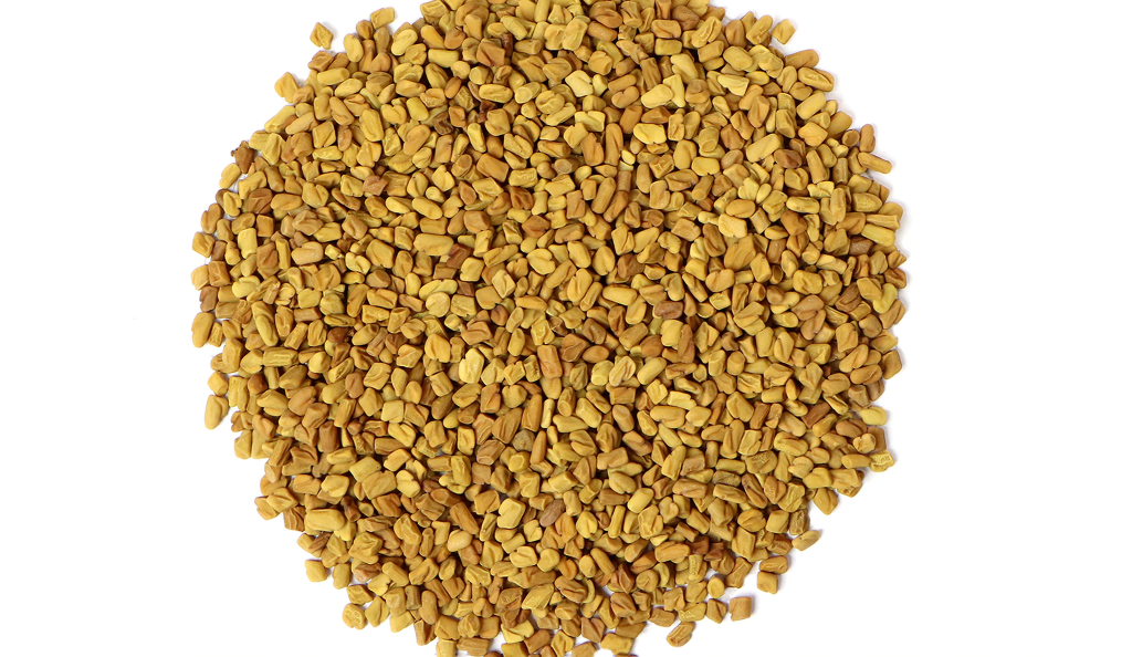 Fenugreek_Seed