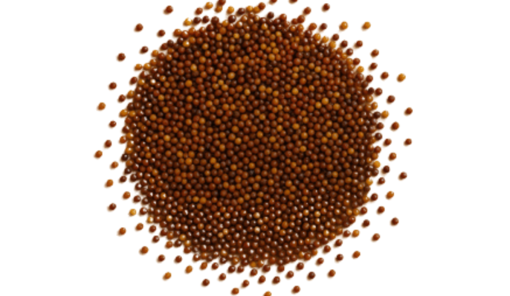 fig seeds