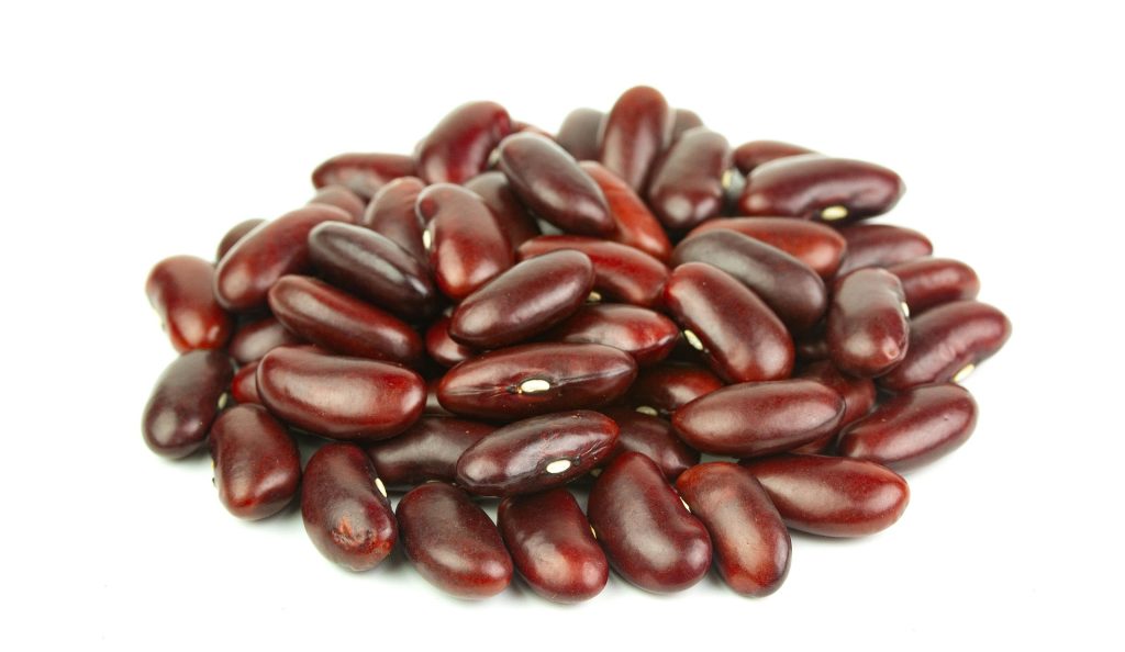 kidney-bean-6564631_1920